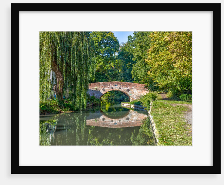 Canal in countryside by Assaf Frank